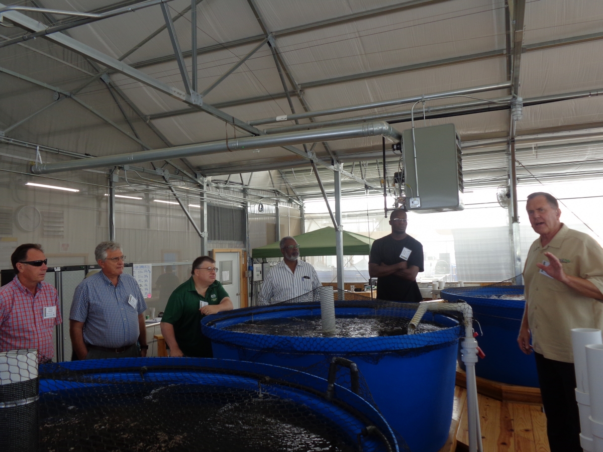 Aquaponics Master Class Learn About Aquaponics From The Experts